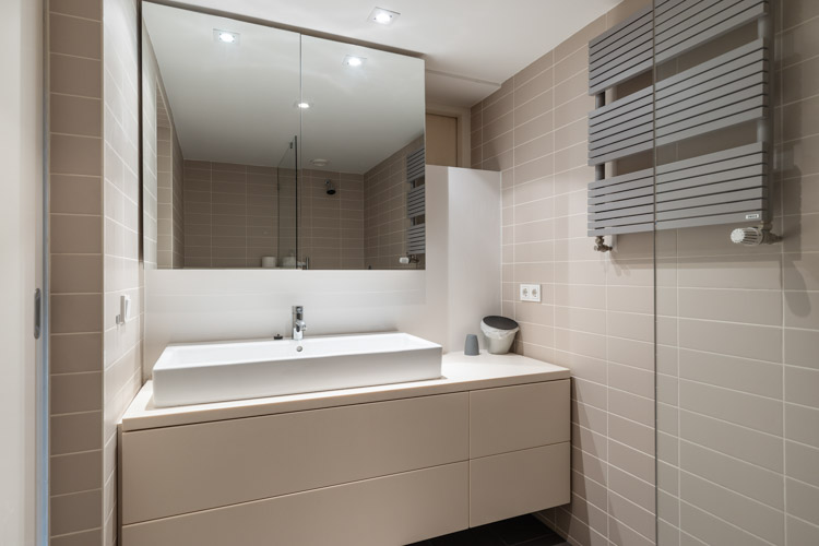 vakantiehuis Jacobbschelp badkamer met wastafel en spiegel designradiator