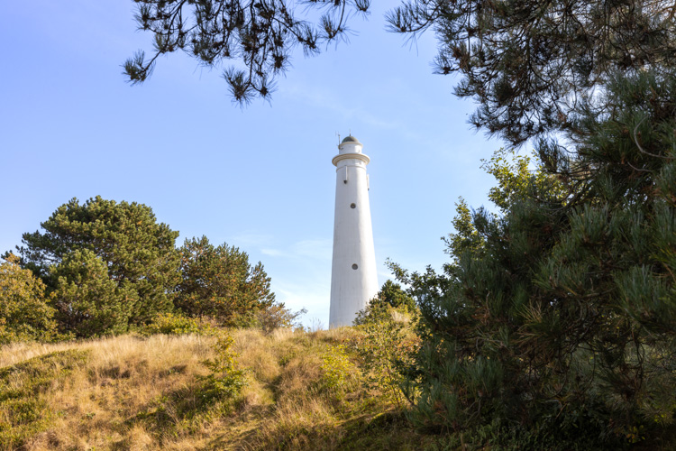 tuin kijkduin vakantiehuisje op schiermonnikoog uitzicht op vuurtoren