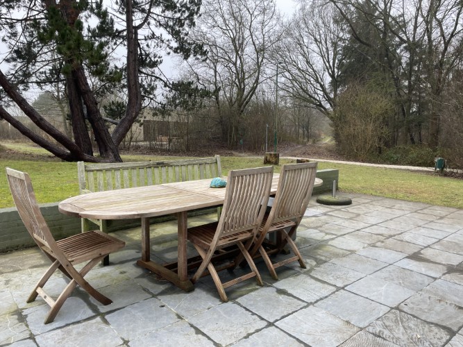 tSeepaerd buiten terras