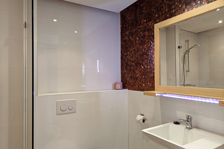 vakantiehuisje aldegonda badkamer wastafel