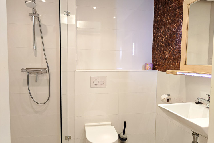 vakantiehuisje aldegonda badkamer overzicht