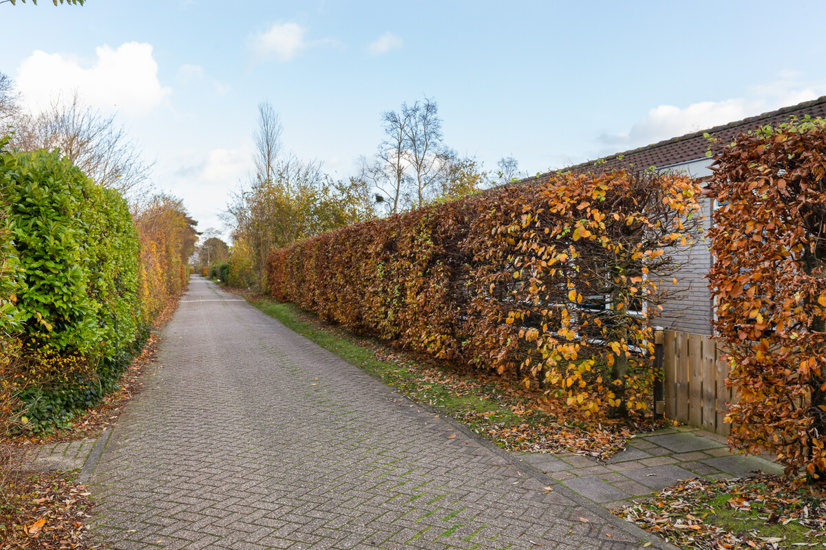 buitenkant oase bungalow schiermonnikoog