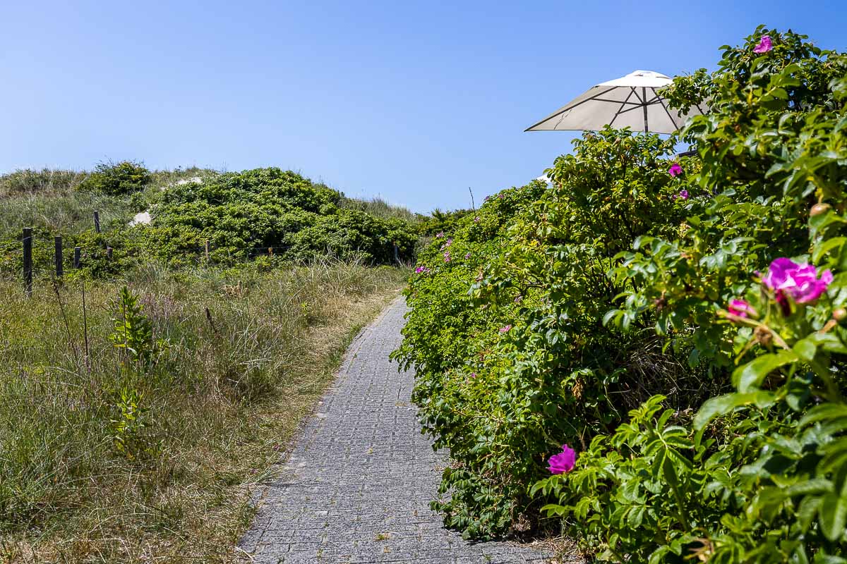 Duin vakantiehuis Schiermonnikoog cardium